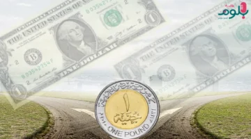 توقعات رسمية.. كم يبلغ سعر الدولار أمام الجنيه المصري خلال عام 2026؟